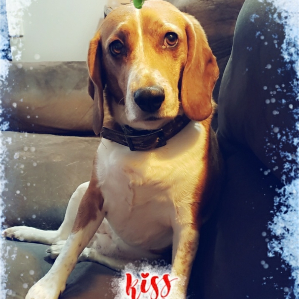 Meet your Posher, Tara